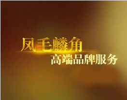 “VI應用(yòng)推廣小(xiǎo)組”正式成立